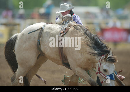 Apr. 16, 2011 - Red Bluff, California, U.S - Austin Foss of Terrebonne, OR rides Comanchero at the 2011 Red Bluff Round-Up at the Tehama District Fairgrounds in Red Bluff, CA. (Credit Image: © Matt Cohen/Southcreek Global/ZUMAPRESS.com) Stock Photo