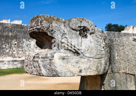 Close up of a Stone serpent head at Chichen Itza Mayan ruins on the Yucatan peninsular Mexico North America Stock Photo