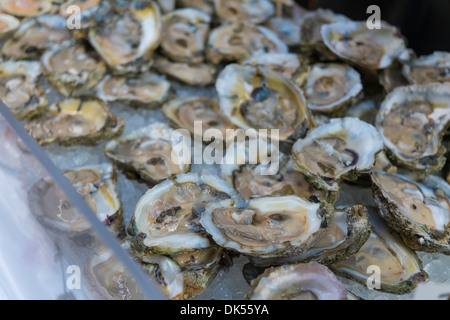 Fresh Oyster Halves on ice for sale at the San Francisco farmers and fishermen market, California, USA Stock Photo