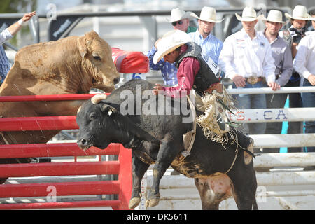 Apr. 23, 2011 - Clovis, California, U.S - Myron Duarte of Auburn, WA rides Full Force at the Clovis Rodeo. (Credit Image: © Matt Cohen/Southcreek Global/ZUMAPRESS.com) Stock Photo