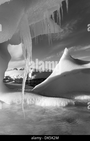 Antarctica, Icicle hangs from melting iceberg floating near Enterprise Island in Wilhelmina Bay along Antarctic Peninsula Stock Photo