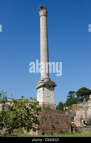 The Column of Phocus in the Roman Forum in Rome, Lazio, Italy. Stock Photo