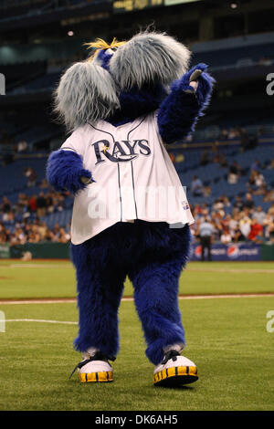 May 5, 2011 - St.Petersburg, Florida, U.S - Tampa Bay Rays mascot Raymond  in his Mexican attire in celebration of Cinco de Mayo during the match up  between the Tampa Bay Rays