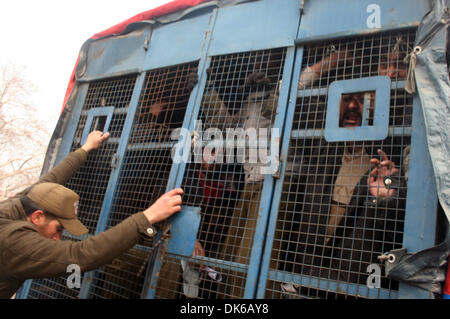 Srinagar, Indian Administered Kashmir 03 December2013. A member of The Jammu and Kashmir Handicapped Association (JKHA) shouts slogans from within a police vehicle after his detention during an anti-government protest march in Srinagar, held to mark International Day of People with Disability. Indian police detained dozens of members of the association during the rally which was held to demand an increase in monthly pensions and free education for deaf and blind handicapped people.(Sofi Suhail/ Alamy Live News)