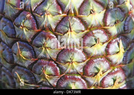 Close up of pineapple skin. Stock Photo