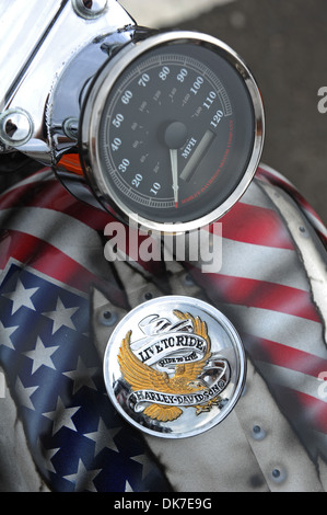 Harley Davidson motorcycle petrol tank 