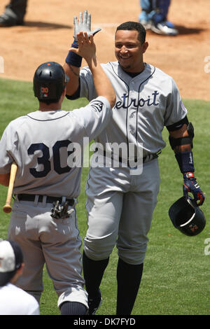 June 22, 2011 - Los Angeles, California, United States of America - Detroit Tigers first baseman Miguel Cabrera (24) receives congratulations from Detroit Tigers right fielder Magglio Ordonez (30) after hitting his 15th home run of the season. During an inter-league game between the, Detroit Tigers  and the Los Angeles Dodgers at Dodger Stadium.  The Tigers defeated the Dodgers 7-5 Stock Photo