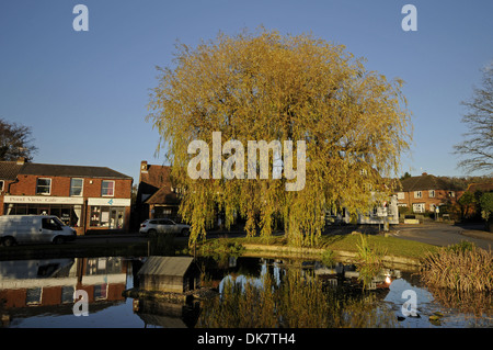Autumn Trees around Pond in the Village of Otford Kent England Stock Photo