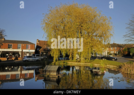 Autumn Trees around Pond in the Village of Otford Kent England Stock Photo
