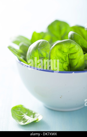 baby spinach leaves in bowl Stock Photo