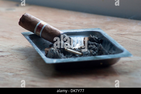 Used cigar in ashtray with ash and matchsticks Stock Photo