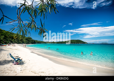 ST JOHN, US Virgin Islands — Swimmers enjoy the warm tropical waters of Hawksnest Bay on St John in the US Virgin Islands. Hawksnest Bay is part of Virgin Islands National Park, known for its pristine beaches and vibrant marine life. The bay's clear turquoise waters and white sand beach make it a popular destination for swimming and snorkeling. Stock Photo