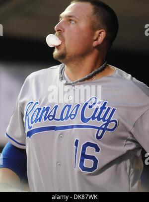 July 14, 2011 - Minneapolis, Minnesota, United States of America - July 14, 2011: Kansas City Royals designated hitter Billy Butler (16) in the dugout during the 4th inning of the game between Minnesota Twins and Kansas City Royals at Target Field in Minneapolis, Minnesota. (Credit Image: © Marilyn Indahl/Southcreek Global/ZUMAPRESS.com) Stock Photo