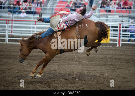 July 21, 2011 - Salinas, California, U.S - Bareback rider Eric Swenson of Denison, TX rides Citation at the California Rodeo Salinas in Salinas, CA. (Credit Image: © Matt Cohen/Southcreek Global/ZUMAPRESS.com) Stock Photo