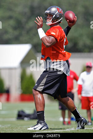 July 30, 2011 - DANIEL WALLACE   |   Times.TP 341686 WALL Bucs 15 (07/30/2011 Tampa) Quarterback Josh Freeman (5) drops back for a pass during Tampa Bay Buccaneers training camp at One Buc Place in Tampa on Saturday. [DANIEL WALLACE, Times] (Credit Image: © St. Petersburg Times/ZUMAPRESS.com) Stock Photo