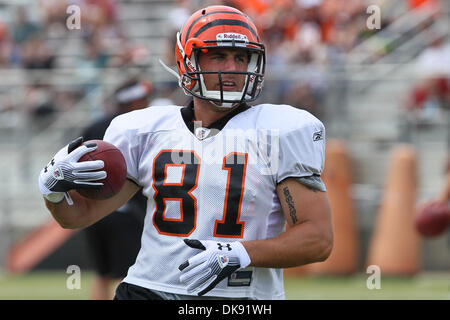 Dec. 18, 2011 - Saint Louis, Missouri, U.S - Cincinnati Bengals tight end  COLIN COCHART (81) runs defense for Cincinnati Bengals running back BERNARD  SCOTT (28) as he carries the ball against