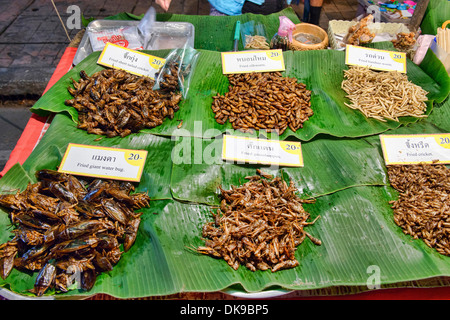 fried insects for sale at the night market in Chiang Mai, Thailand Stock Photo