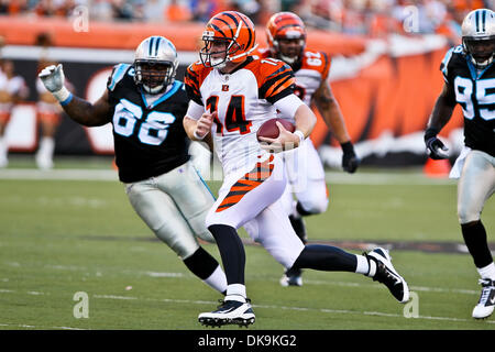 Aug. 25, 2011 - Cincinnati, Ohio, U.S - Cincinnati Bengals wide receiver  Jordan Shipley (11) on the field at the close of the second half of the NFL  football game between the