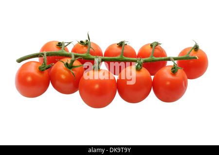 A branch of ripe cherry tomatoes isolated on white with clipping path Stock Photo