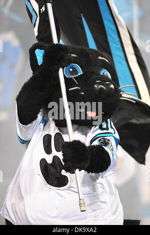 Carolina Panthers mascot Sir Purr is dressed in army fatigues in honor of  Salute to Service during an NFL football game against the Washington  Football Team, Sunday, Nov. 21, 2021, in Charlotte