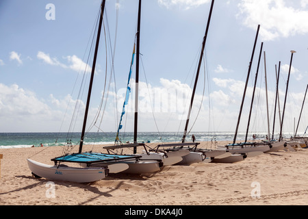 Rental Hobie Cat catamarans beached on Fort Lauderdale Beach, Florida, USA. Stock Photo