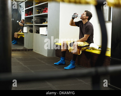 Boxer Drinking Water Stock Photo - Alamy