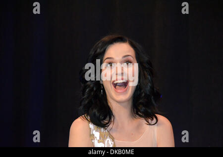 New York City, New York, USA. 03rd Dec, 2013. Pop singer Katy Perry talks at the Unicef headquarters in New York City, New York, USA, 03 December 2013. Perry was appointed as a good will ambassador by the United Nations Children's Fund (UNICEF). Her song 'Unconditionally' came out in the middle of October a result of her trip to the UNICEF camp in Madagascar. Photo: CHRIS MELZER/dpa/Alamy Live News Stock Photo