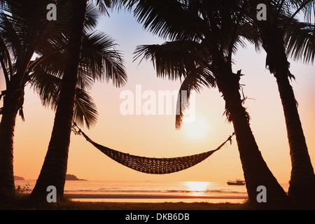hammock and palm trees on the beach Stock Photo