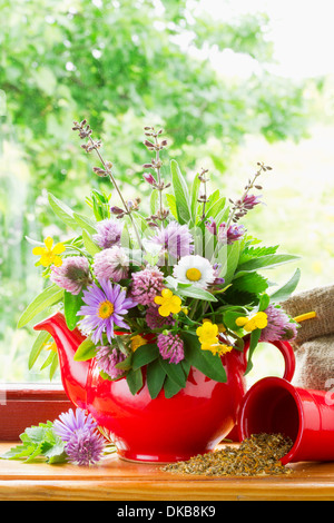 red teapot with bouquet of healing herbs and flowers on windowsill Stock Photo