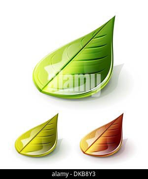 Set of glossy vector leaves Stock Vector