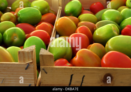 Green and red tomatoes in wooden boxes for sale in a market Stock Photo