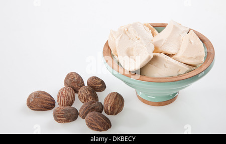 Shea Nuts with shea nut butter cream. Stock Photo