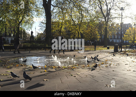 London, UK, 30/11/2013 : Winter Sun in Bloomsbury. . Picture by Julie Edwards Stock Photo