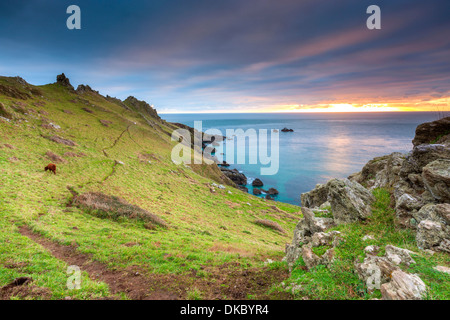 Start Point, with the lighthouse, South Hams, Devon, England, United Kingdom, Europe. Stock Photo