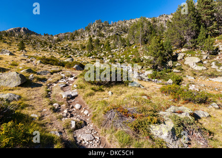 Reserva Natural de Néouvielle, French Pyrenees, France, Europe. Stock Photo