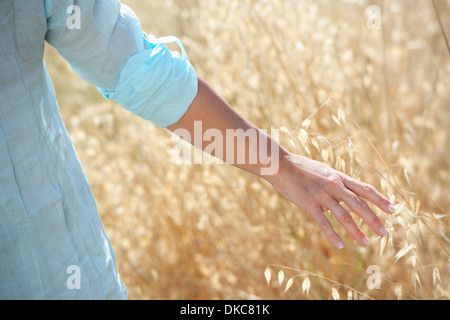 Cropped image of woman's hand in corn field Stock Photo