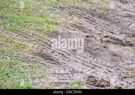 Grass ripped up ruined by car tyre parking Stock Photo