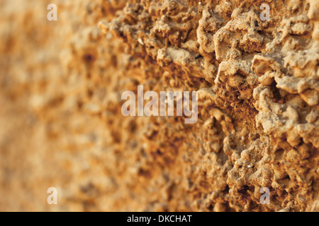 sand the coastal cliffs in Israel close-up Stock Photo