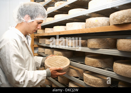 Worker examining cheese round at farm factory Stock Photo