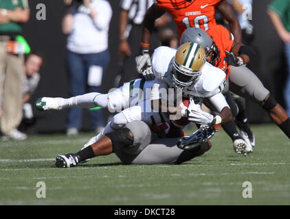 Oct. 29, 2011 - Stillwater, Oklahoma, United States of America - Baylor Bears wide receiver Tevin Reese (16) in action during the game between the Baylor Bears and the Oklahoma State Cowboys at the Boone Pickens Stadium in Stillwater, OK. Oklahoma State leads Baylor 35 to 0 at halftime. (Credit Image: © Dan Wozniak/Southcreek/ZUMAPRESS.com) Stock Photo