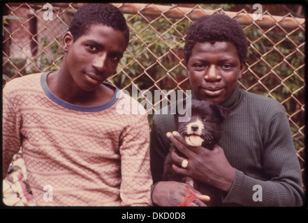 TWO BLACK YOUTHS AND A DOG IN PATERSON, NEW JERSEY. THIS PROJECT IS A PORTRAIT OF THE INNER CITY ENVIRONMENT. IT... 555929 Stock Photo