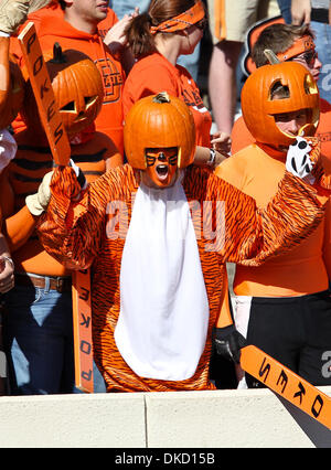 Oct. 29, 2011 - Stillwater, Oklahoma, United States of America - Oklahoma State Cowboys fans in action during the game between the Baylor Bears and the Oklahoma State Cowboys at the Boone Pickens Stadium in Stillwater, OK. Oklahoma State defeats Baylor 59 to 24. (Credit Image: © Dan Wozniak/Southcreek/ZUMAPRESS.com) Stock Photo