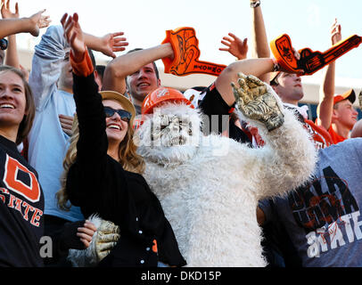 Oct. 29, 2011 - Stillwater, Oklahoma, United States of America - Oklahoma State Cowboys fans in action during the game between the Baylor Bears and the Oklahoma State Cowboys at the Boone Pickens Stadium in Stillwater, OK. Oklahoma State defeats Baylor 59 to 24. (Credit Image: © Dan Wozniak/Southcreek/ZUMAPRESS.com) Stock Photo