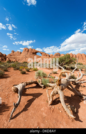 Skyline Arch, Arches National Park, Utah, USA Stock Photo