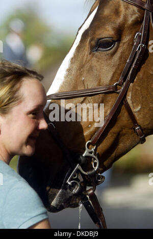 Dec 03, 2006; Wellington, FL, USA; The 123rd National Horse Show and Family Festival was held Sunday at The Palm Beach Polo Equestrian Club,  showcasing the nation's top Equestrians in the Hunter, Jumper and Dressage disciplines. Here, groom Jenny Wood of New York with Sapphire before competition in the $50,000 Rolex/USEF National Show Jumping Championship. McLain Ward is Sapphire' Stock Photo