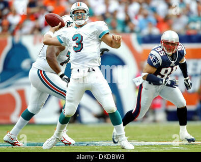 Dec 10, 2006; Miami Gardens, FL, USA; Miami Dolphins quarterback Joey Harrington in action during second half action Sunday afternoon at Dolphin stadium. Dolphins 21-0 over the Patriots. Mandatory Credit: Photo by Bill Ingram/Palm Beach Post/ZUMA Press. (©) Copyright 2006 by Palm Beach Post Stock Photo