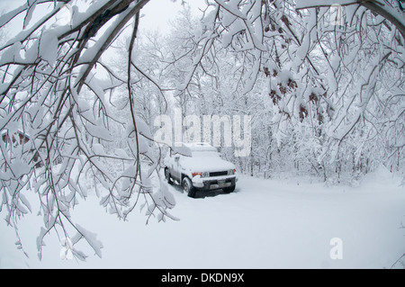 A snow covered car sits under a canopy of heavily snow covered trees after a blizzard Stock Photo