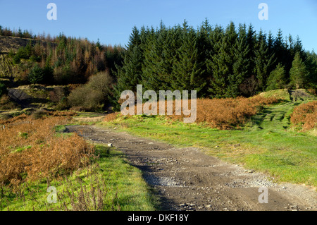 Rhymney Valley Ridgeway Footpath above the Sirhowy Valley, South Wales Valleys. Stock Photo