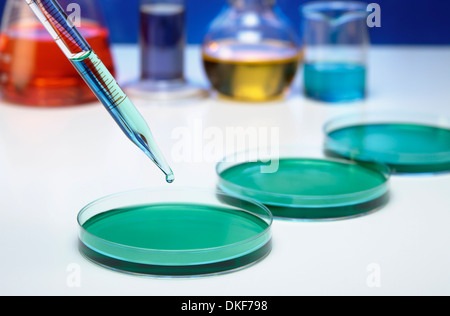 Pipetting: A pipette is used to transfer a small amount of liquid to a Petri dish Stock Photo