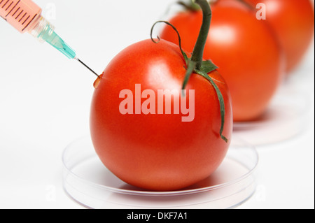 Food research: Syringe injecting red liquid into a tomato Stock Photo